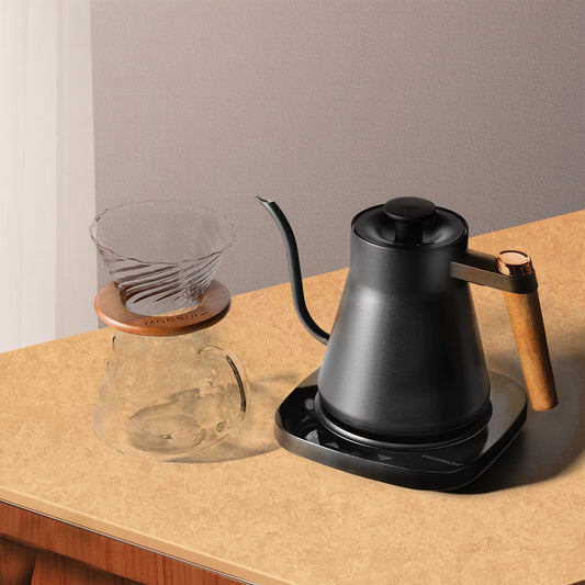 Eletric Gooseneck Kettle MELIOR